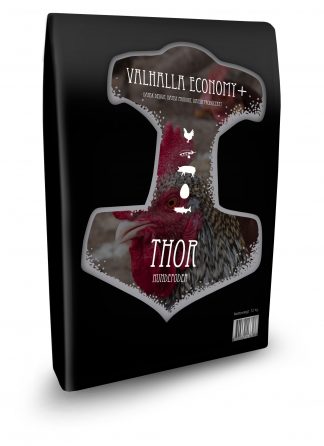 Valhalla Economy+ Thor
